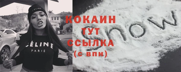 соль ск Гусиноозёрск