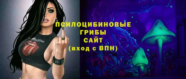 соль ск Гусиноозёрск