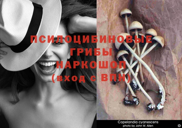 ешки Гусев