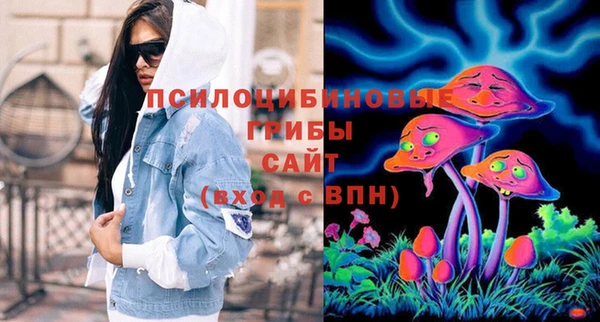 соль курить ск Гусь-Хрустальный
