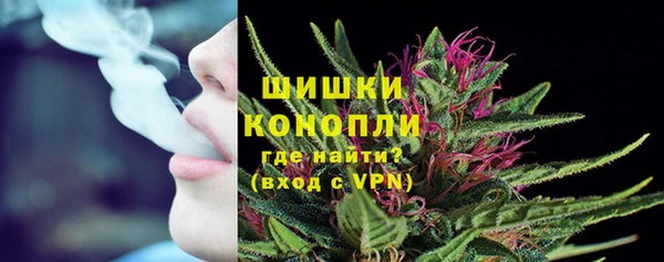 ешки Гусев